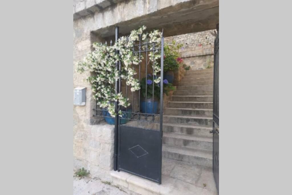 Appartement de charme à Olmeto Olmeto (Corsica) Exterior foto